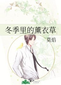 《冬季里的薰衣草》
