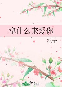《拿什么来爱你》
