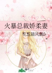 《火暴总裁娇柔妻》
