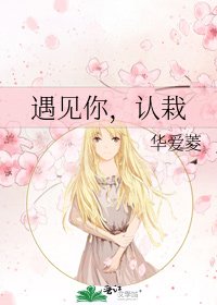 《遇见你,认栽》