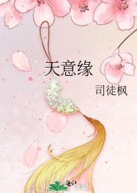 《天意缘》