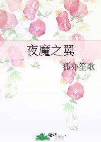 《夜魔之翼》