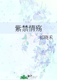 《紫禁情殇》