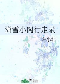 《潇雪小阁行走录》