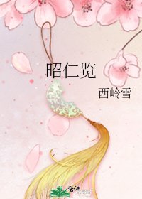 《昭仁览》
