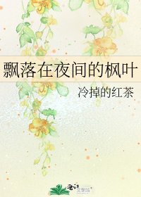 《飘落在夜间的枫叶》