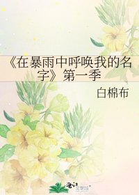 《在暴雨中呼唤我的名字》