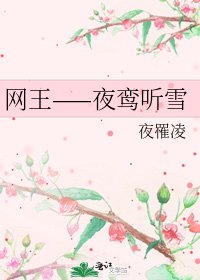 《网王——夜鸾听雪》