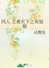 《同人 王者天下之灰姑娘》