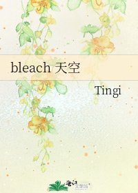 《bleach 天空》