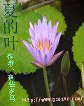 《夏的叶》