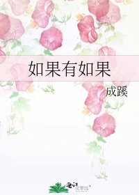 《如果有如果》
