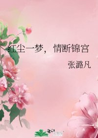《红尘一梦,情断锦宫》
