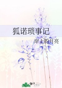《狐诺琐事记》