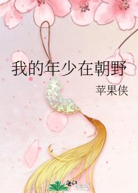 《我的年少在朝野》