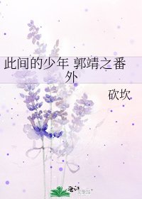 《此间的少年 郭靖之番外》