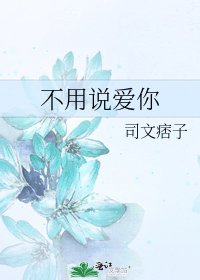 《不用说爱你》