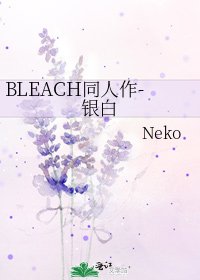 《BLEACH同人作-银白》