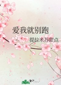 《爱我就别跑》
