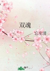 《双魂》