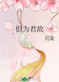 《但为君故》