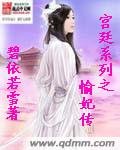 《宫廷系列之愉妃传》