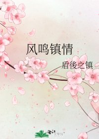 《风鸣镇情》