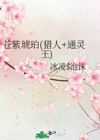 《苍紫琥珀(猎人+通灵王)》