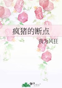 《疯猪的断点》