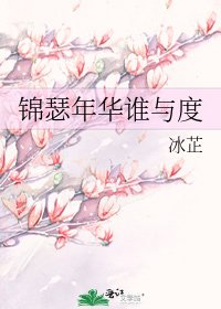 《锦瑟年华谁与度》