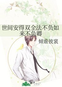 《世间安得双全法不负如来不负卿》