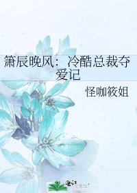 《箫辰晚风:冷酷总裁夺爱记》