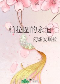 《柏拉图的永恒》