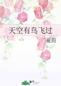 《天空有鸟飞过》
