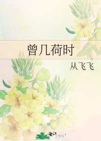 《曾几荷时》