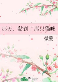 那天、黏到了那只猫咪