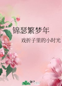 《锦瑟繁梦年》