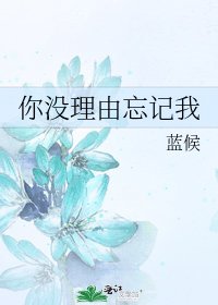 《你没理由忘记我》