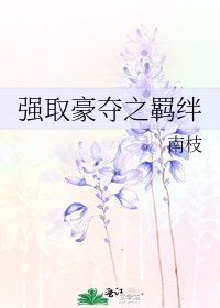 《强取豪夺之羁绊》