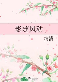 《影随风动》