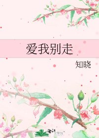 《爱我别走》
