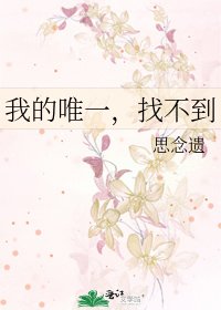 《我的唯一,找不到》