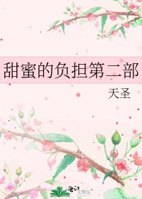 《甜蜜的负担第二部》
