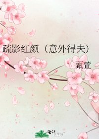 《疏影红颜(意外得夫)》