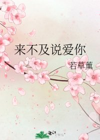 《来不及说爱你》