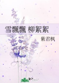 《雪飄飄 柳絮絮》