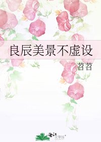 《良辰美景不虚设》