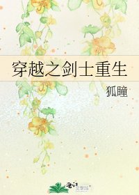 《穿越之剑士重生》