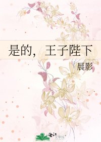 《是的,王子陛下》