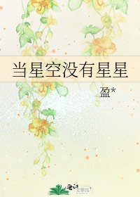 《当星空没有星星》